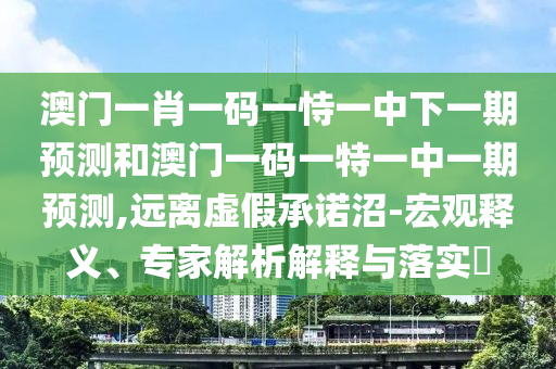 澳門一肖一碼一恃一中下一期預(yù)測和澳門一碼一特一中一期預(yù)測,遠(yuǎn)離虛假承諾沼-宏觀釋義、專家解析解釋與落實(shí)?