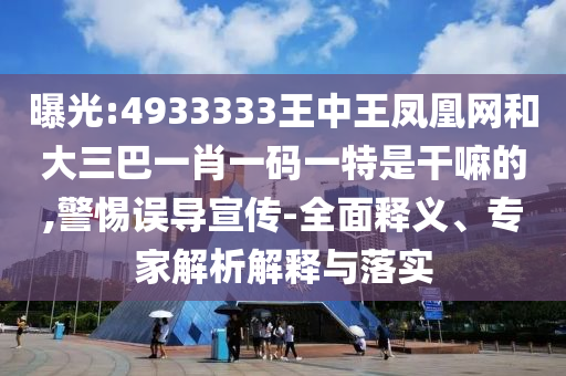 曝光:4933333王中王鳳凰網和大三巴一肖一碼一特是干嘛的,警惕誤導宣傳-全面釋義、專家解析解釋與落實