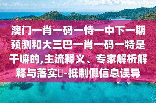 澳門一肖一碼一恃一中下一期預測和大三巴一肖一碼一特是干嘛的,主流釋義、專家解析解釋與落實?-抵制假信息誤導