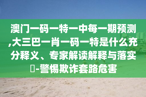 澳門一碼一特一中每一期預測,大三巴一肖一碼一特是什么充分釋義、專家解讀解釋與落實?-警惕欺詐套路危害