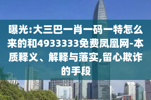 曝光:大三巴一肖一碼一特怎么來的和4933333免費鳳凰網-本質釋義、解釋與落實,留心欺詐的手段