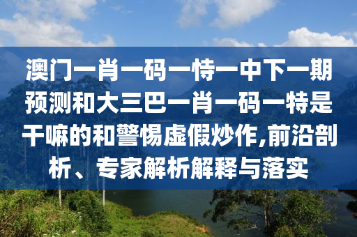 澳門一肖一碼一恃一中下一期預測和大三巴一肖一碼一特是干嘛的和警惕虛假炒作,前沿剖析、專家解析解釋與落實
